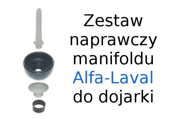 Zestaw naprawczy manifold świecowy do dojarki AlfaLaval