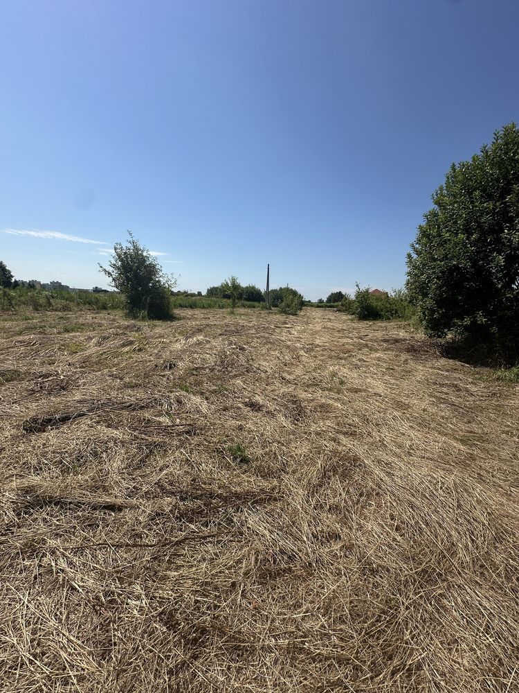 Продаж землі Лісопотік Бірки Брюховичі