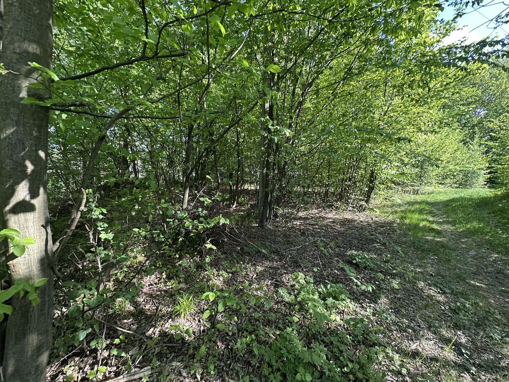 Продам ділянку 40 соток з будиноком