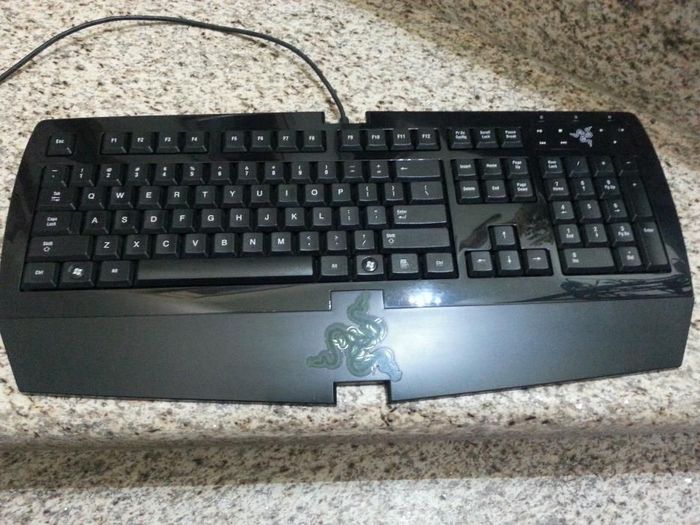 Teclado Raizer Arctosa