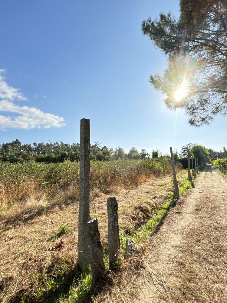 Terreno 7400m2 Barreiros Amares
