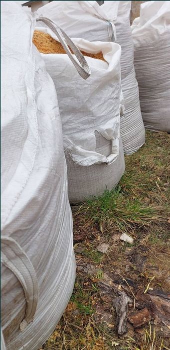 Стружка сосна. В бегах. Тирса соснова.