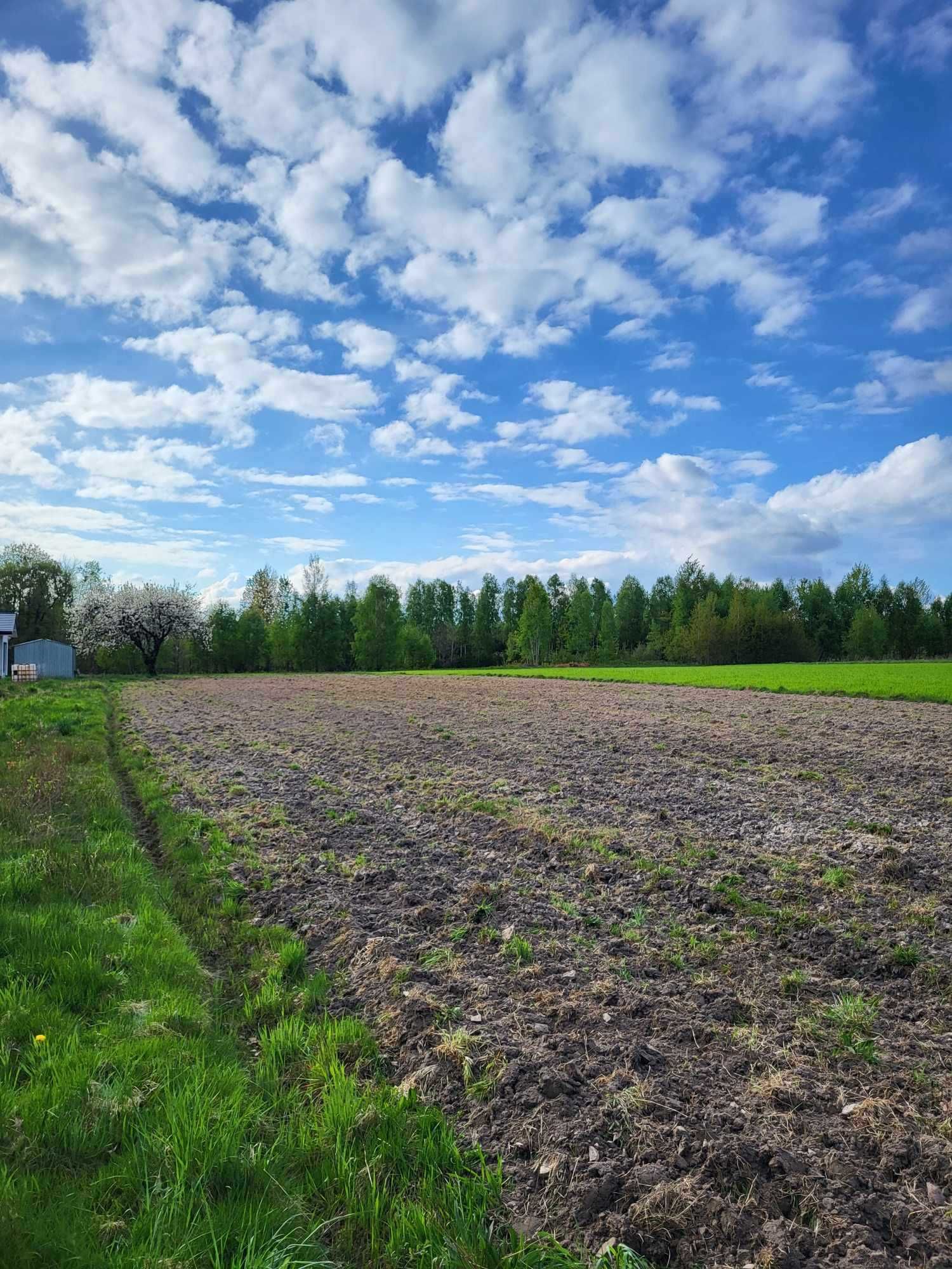 Działka 30a Grzymałków 25mx120m