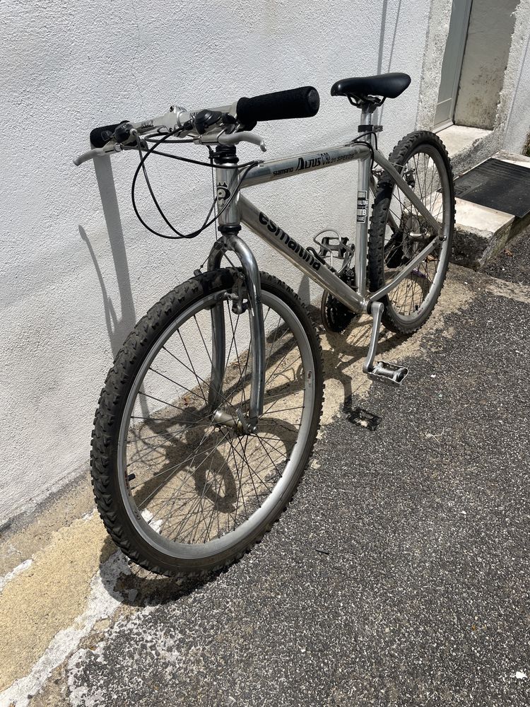 Bicicleta cinzenta