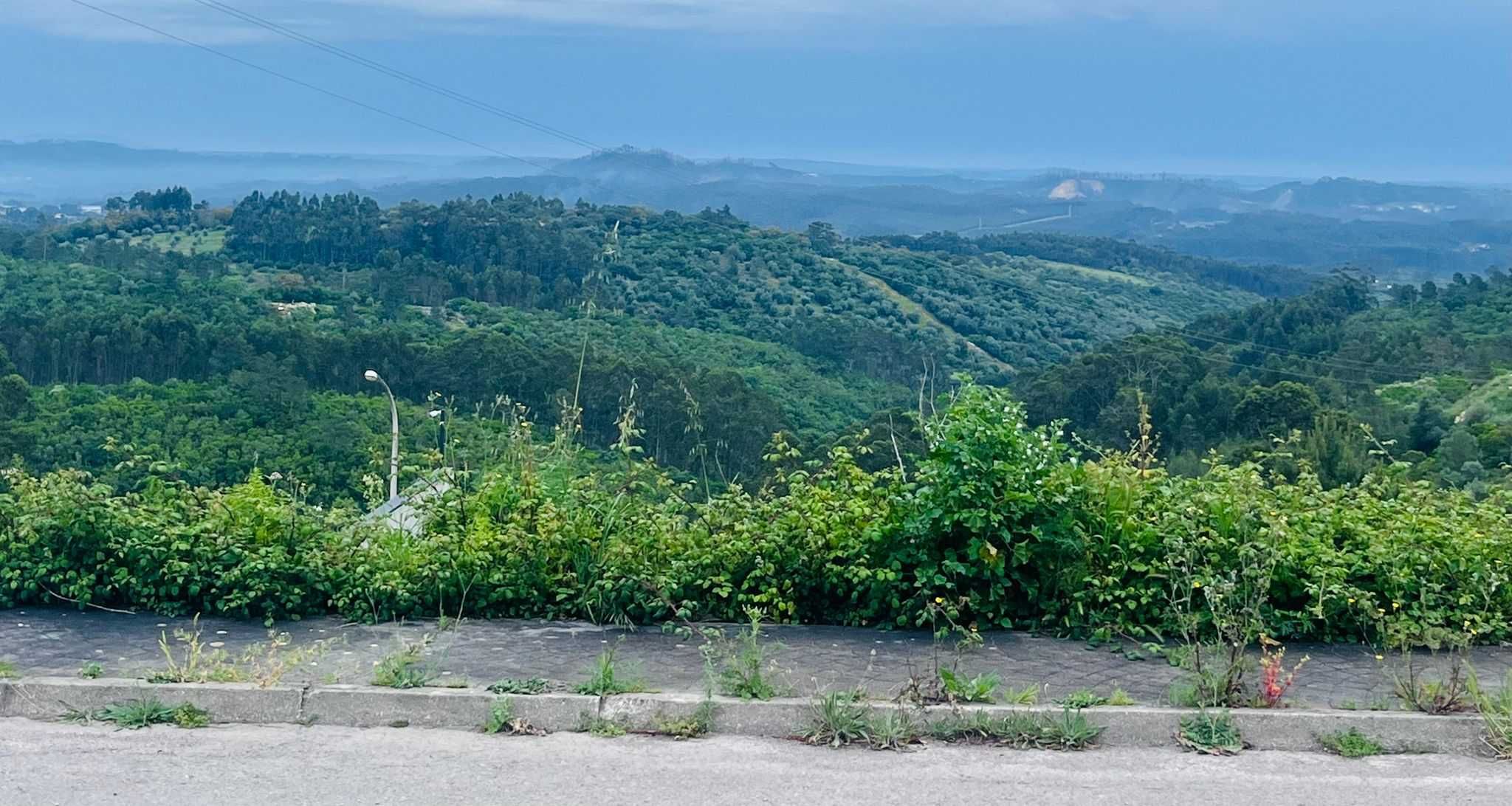 Terreno Fátima  841m2 Lote 22 cabeço Amarelo