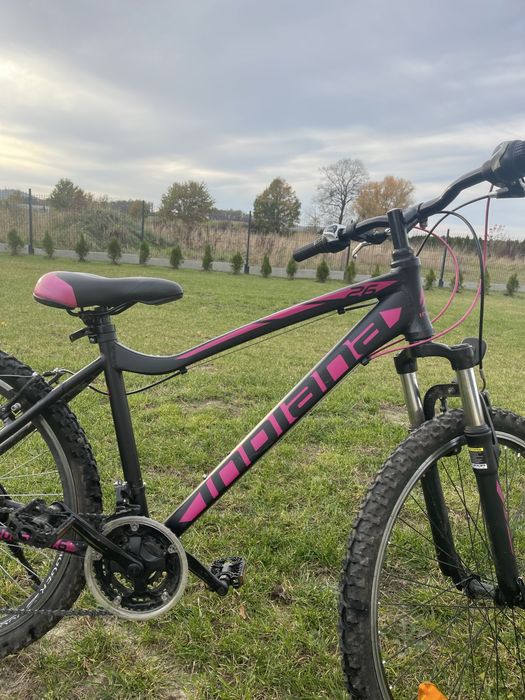 Rower damski indiana