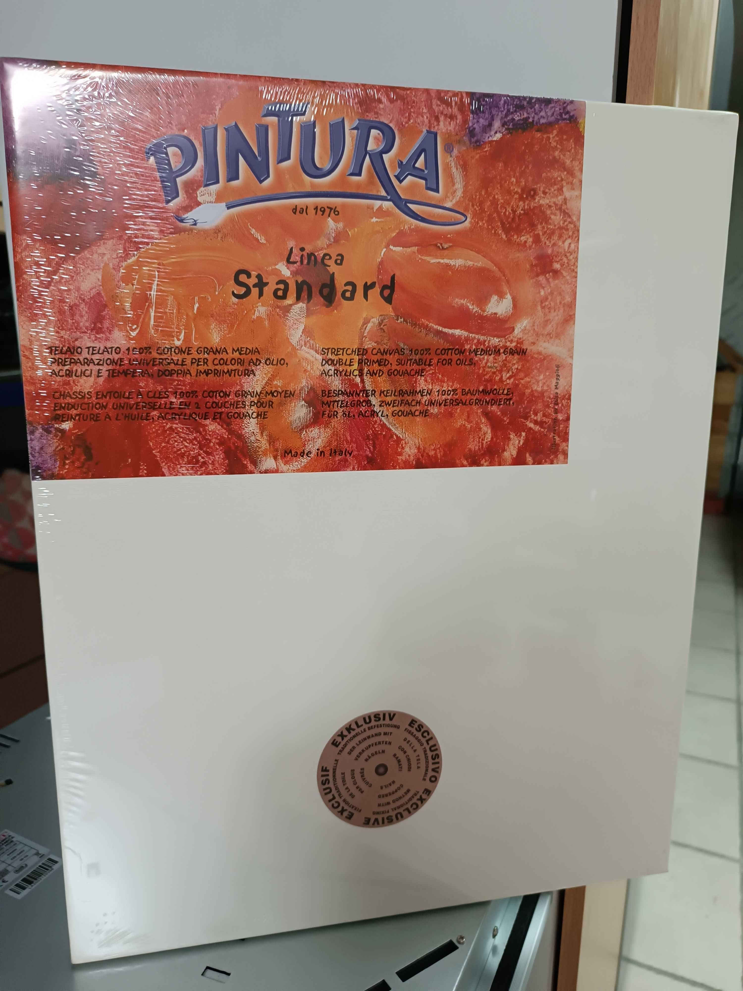 Tela de pintura nova