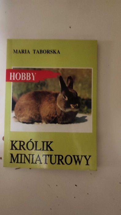 Królik miniaturowy - Maria Taborska