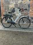 Rower Gazelle Eclipse LTD