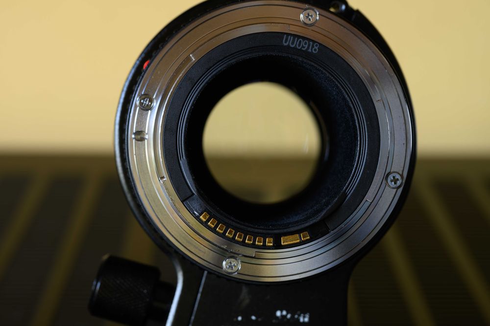 Canon EF 200/2,8 L II USM Ostrość i bokeh