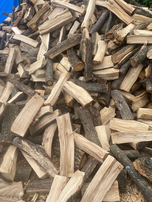 Дрова твердих порід