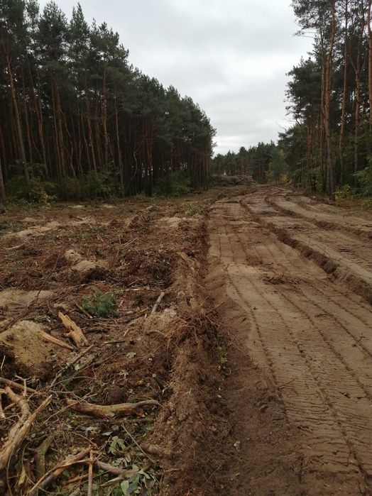 Mulczer wgłębny czyszczenie działek wycinka rekultywacja mulczowanie