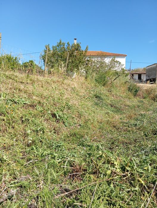 Limpeza de terrenos