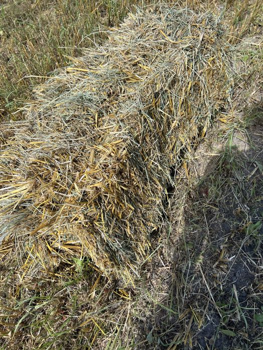 Тюки соломи з з пшениці та овса