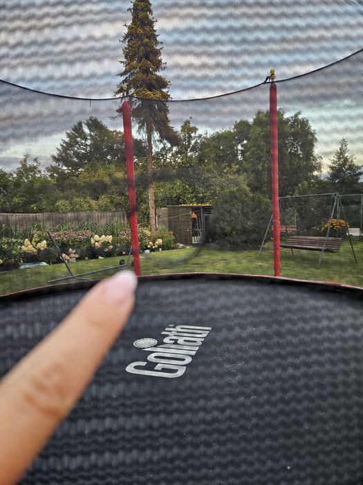Trampolina goliath