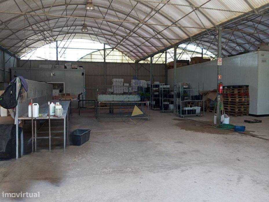 Empresa agrícola com 12 hectares com comercio  internacional reconheci