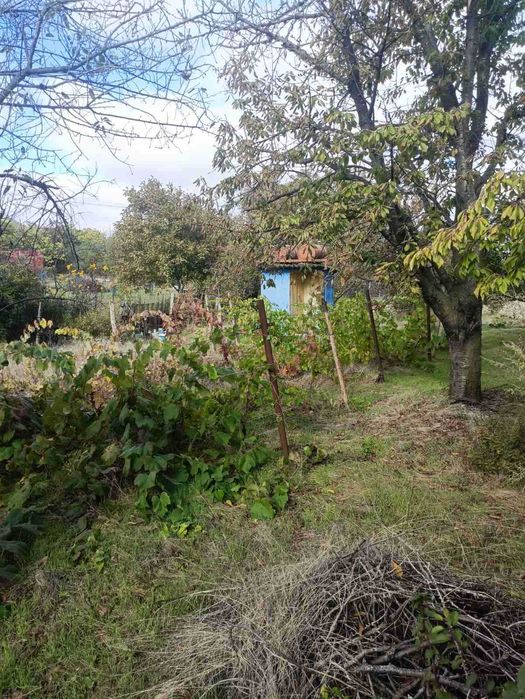 Компактный дом в Светлом на новых дачах