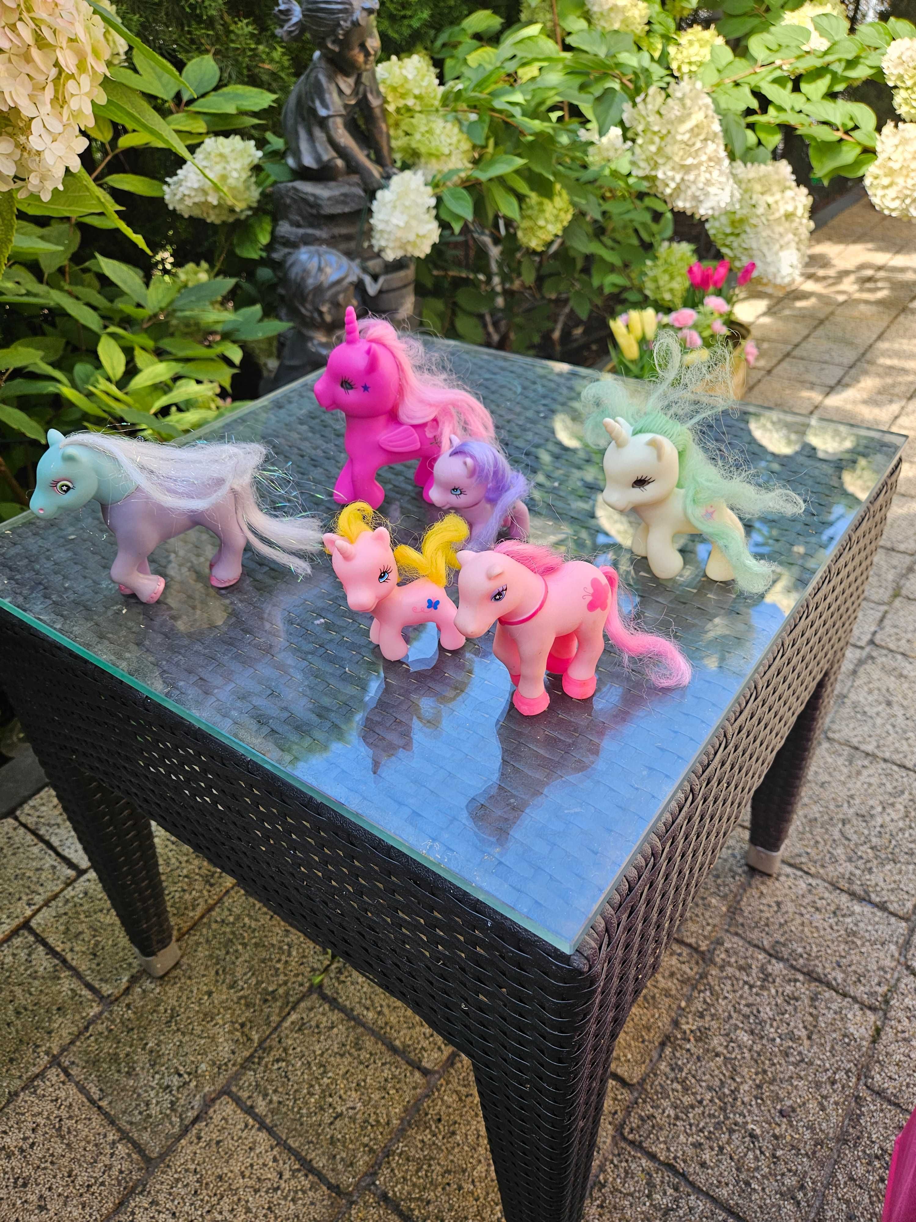 Koniki maulitte pony
