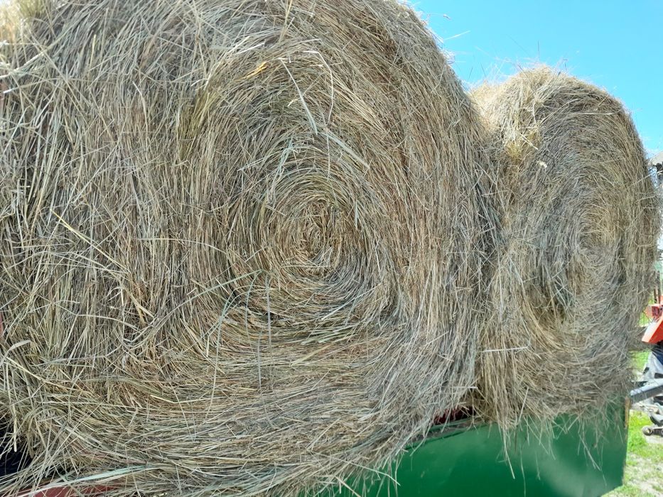 Siano  słoma 2025  baloty