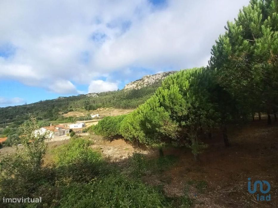 Terreno para construção em Lamas e Cercal de 538,00 m2