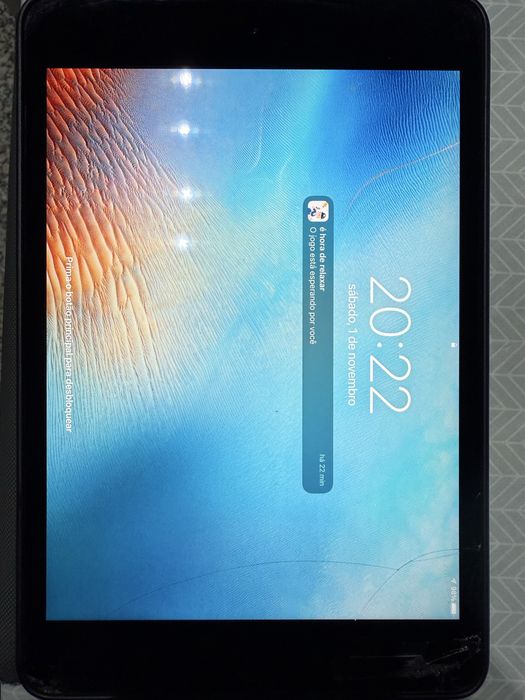 Ipad mini 4 wifi/celular