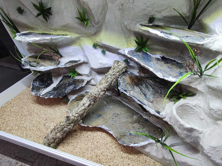 Terrarium pustynne nr654 130/60/90 dla agamy brodatej NA ZAMÓWIENIE