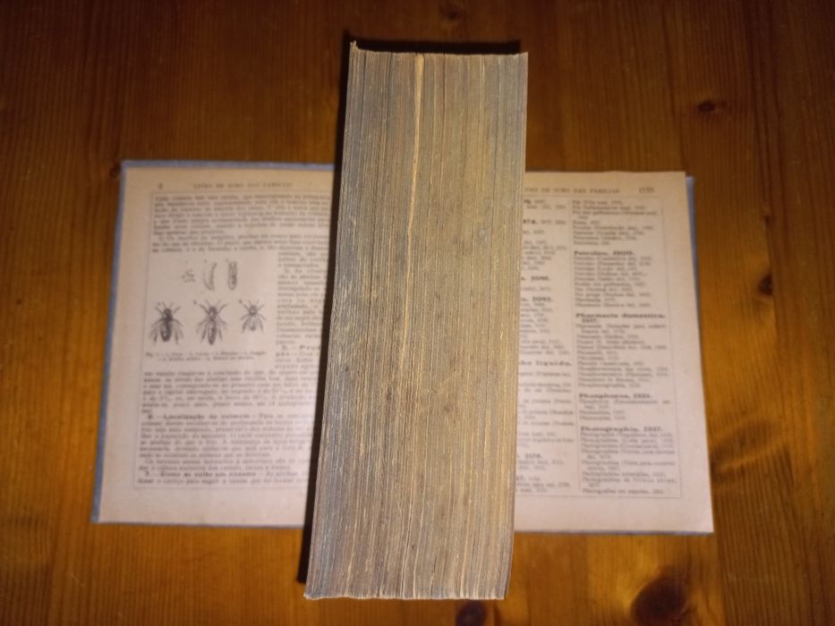 Livro de ouro das famílias