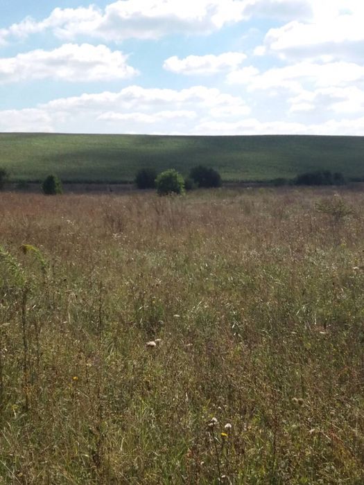 Земельна ділянка з гарним краєвидом