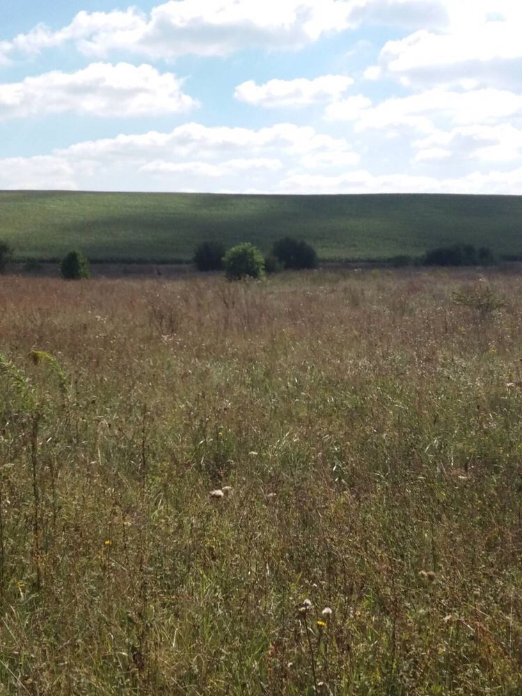 Земельна ділянка з гарним краєвидом