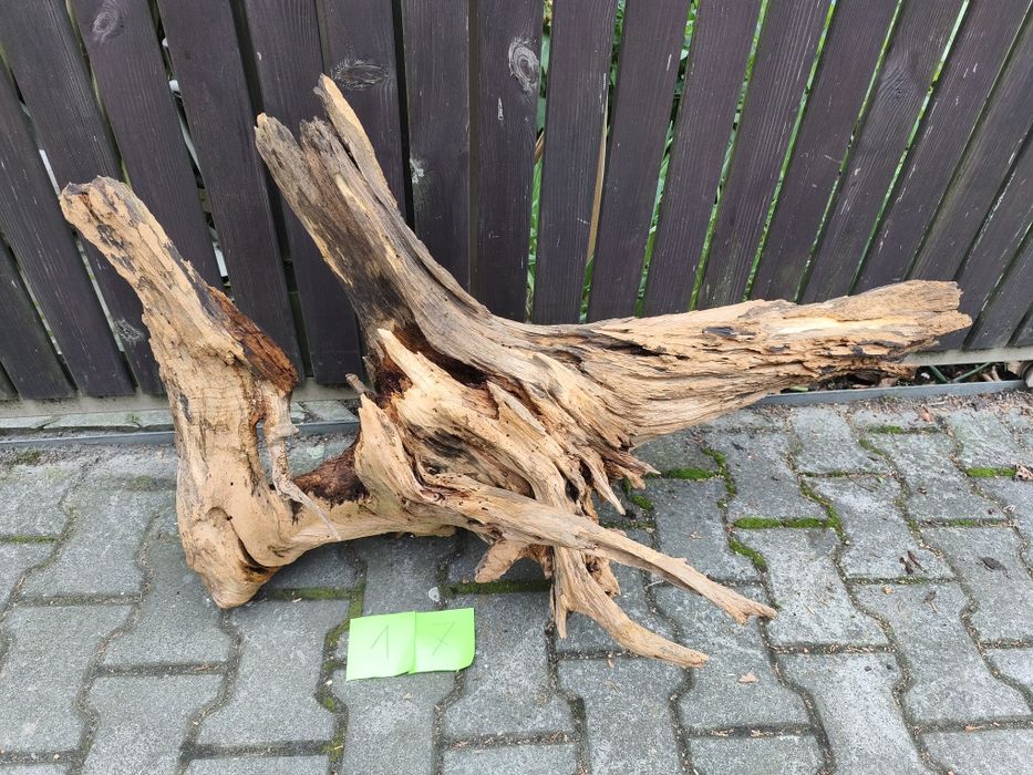 Korzeń nr 17 do akwarium
