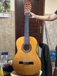 Guitarra, castanha muito boa