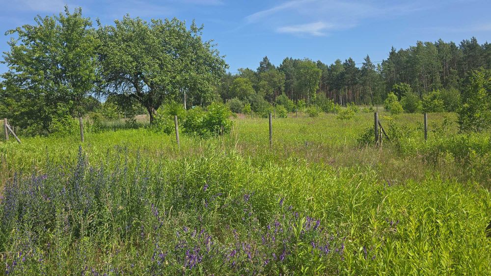 BOLĘCIN kolo Płonska . Działka rekrecyjno-budowlana 1500m2.