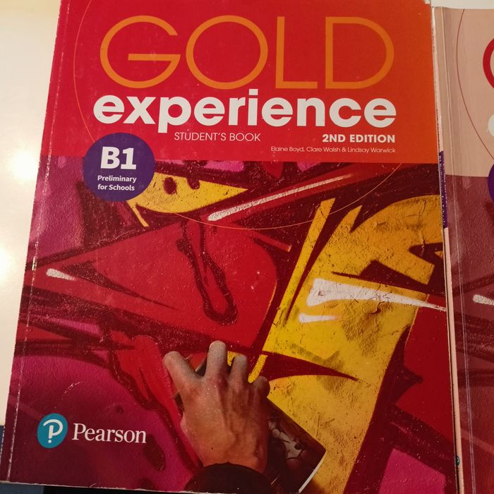 Gold experience B1