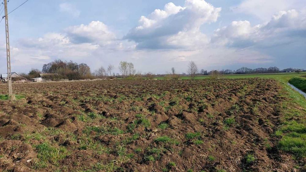 Działka rolno-budowlana Niwki