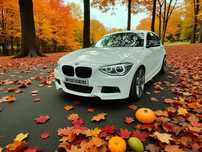 BMW 116 d EfficientDynamics Edition Sport Line