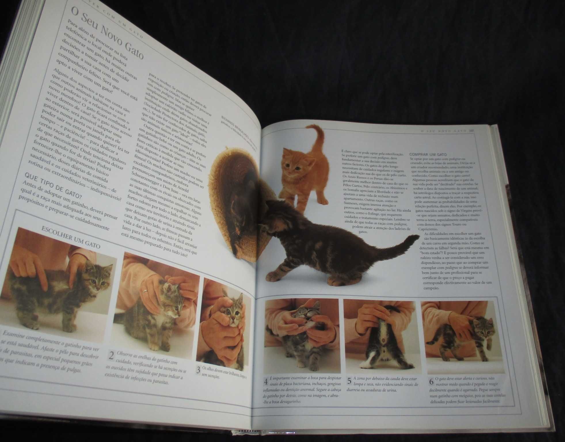 Livro Grande Livro do Gato David Taylor Civilização