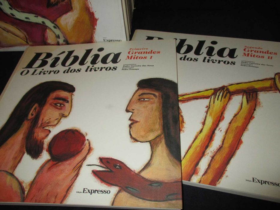 Livros Bíblia Livro dos Livros Expresso 12 volumes completa