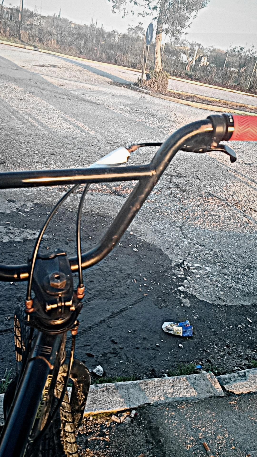 Bmx profissional