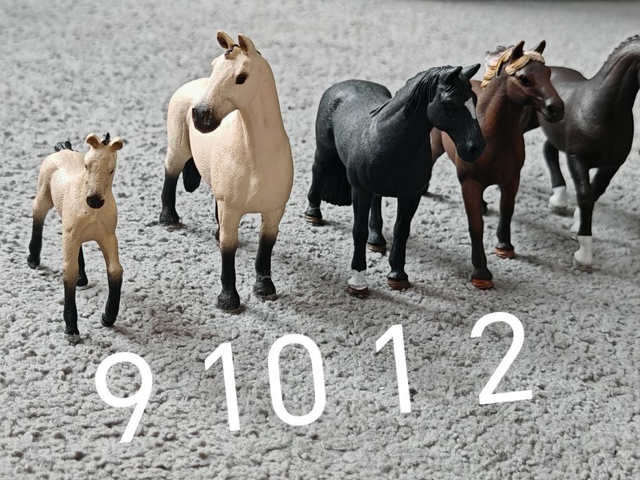 ### Koń konie Schleich zestaw/na sztuki