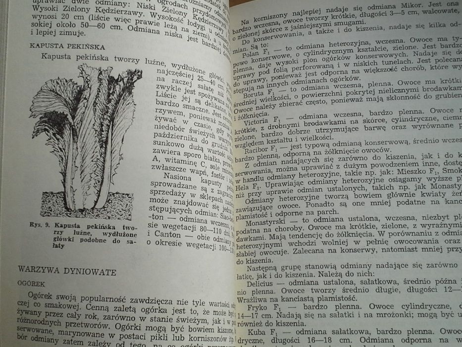 Terminarz Upraw Warzywnych, ogród, K.Elkner, St.Kaniszeski, wyd.1989