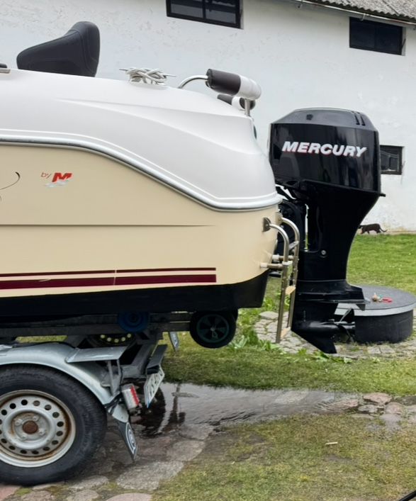 Quicksilver Mercury 50 EFI