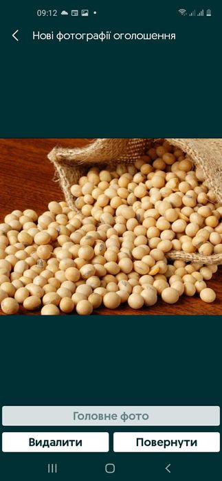 Соя   ГМО   Соя   Соя