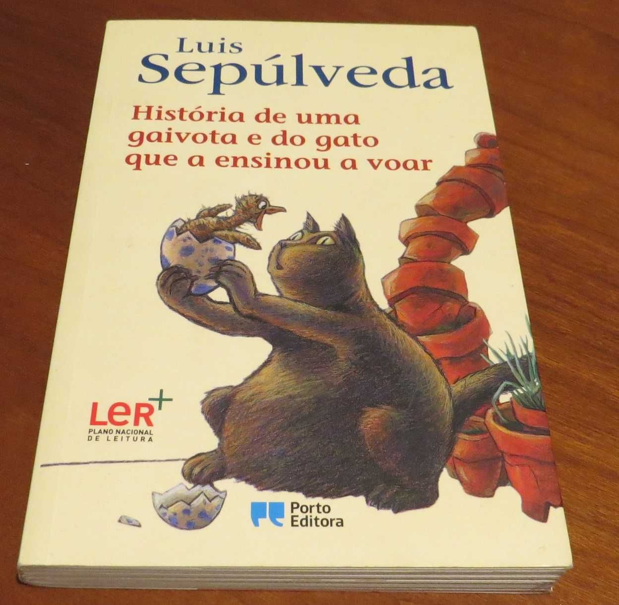 O Gato Malhado e a Andorinha/Chocolate à chuva/Último Grimm