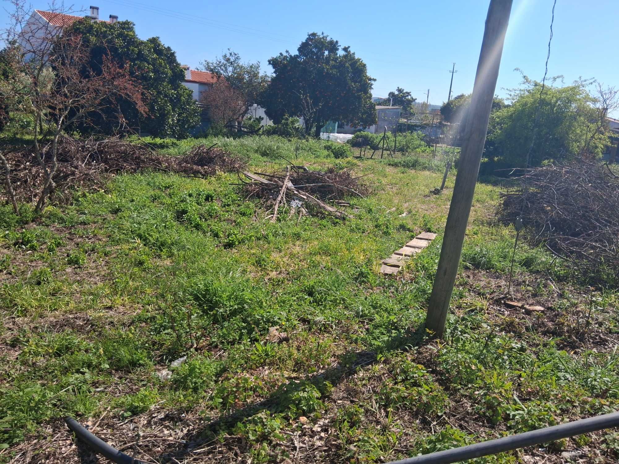 Casa térrea t3 com terreno garagem e anexos