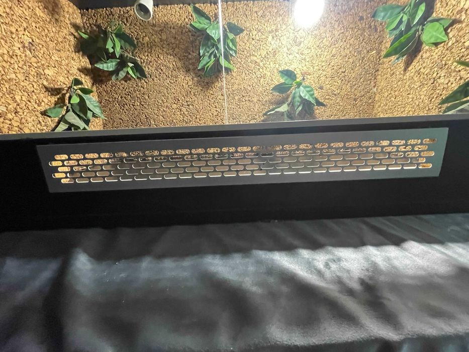Terrarium 100x50 z oświetleniem – idealne dla agamy, gotowe do użycia