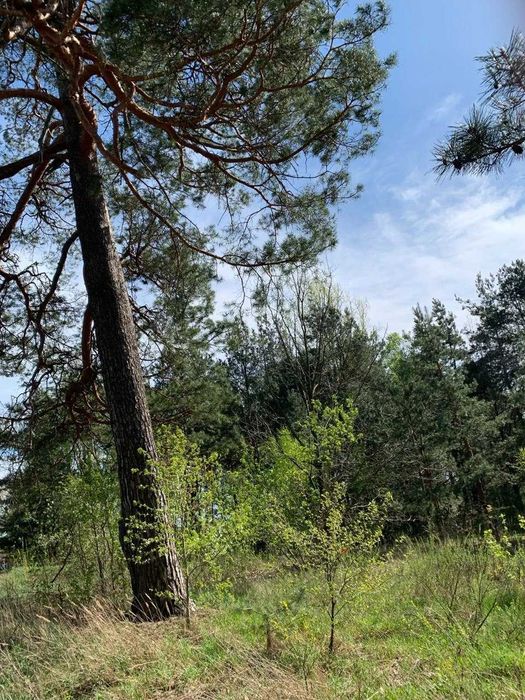 Земля під базу від починку біля озера в Лісовичах! Комунікації поруч