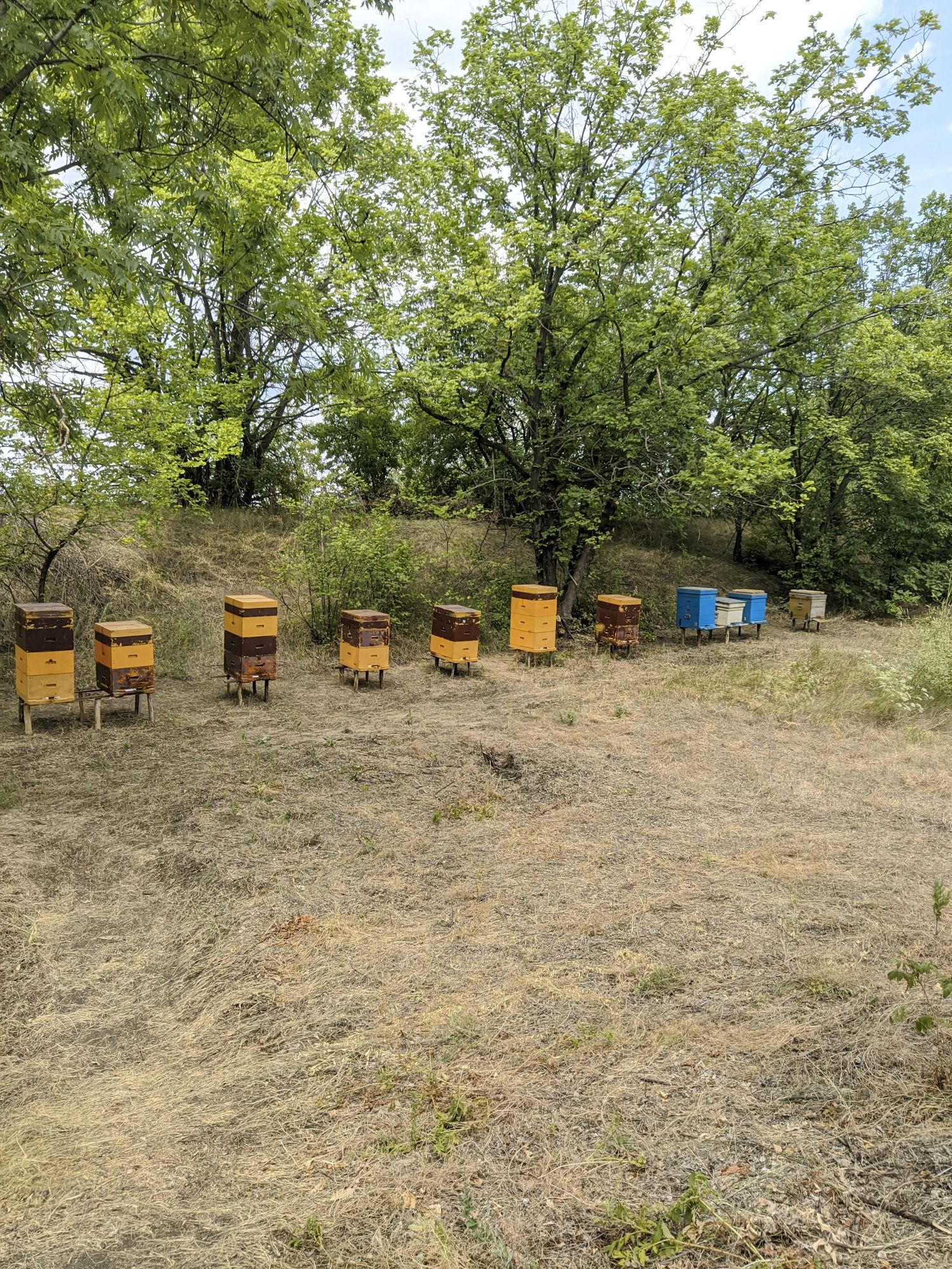 Продам вулики поліпропіленові