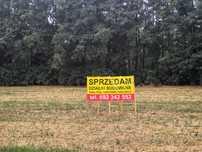 Działki budowlane - Tomaszewo (gm. Ostrowitego), 130zł/m²
