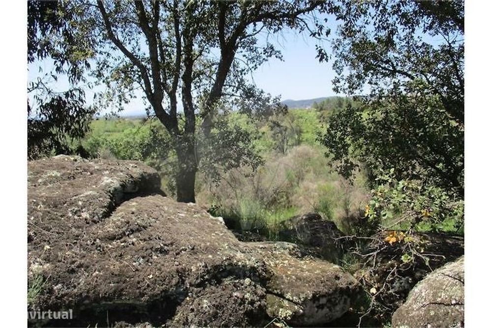 Quinta  para venda
