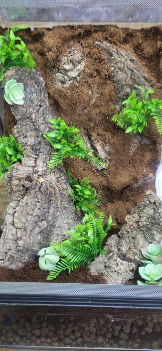 Terrarium 40x40x60 z wystrojem, gekony, Wysyłka